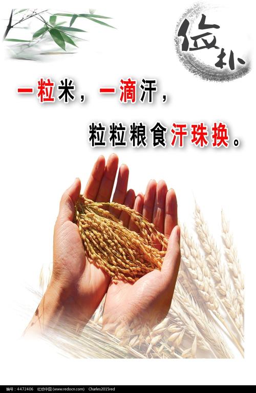 新墨西哥州立大学学历认证购买